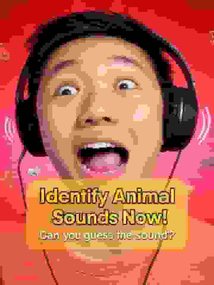 Identify Animal Sounds Now!